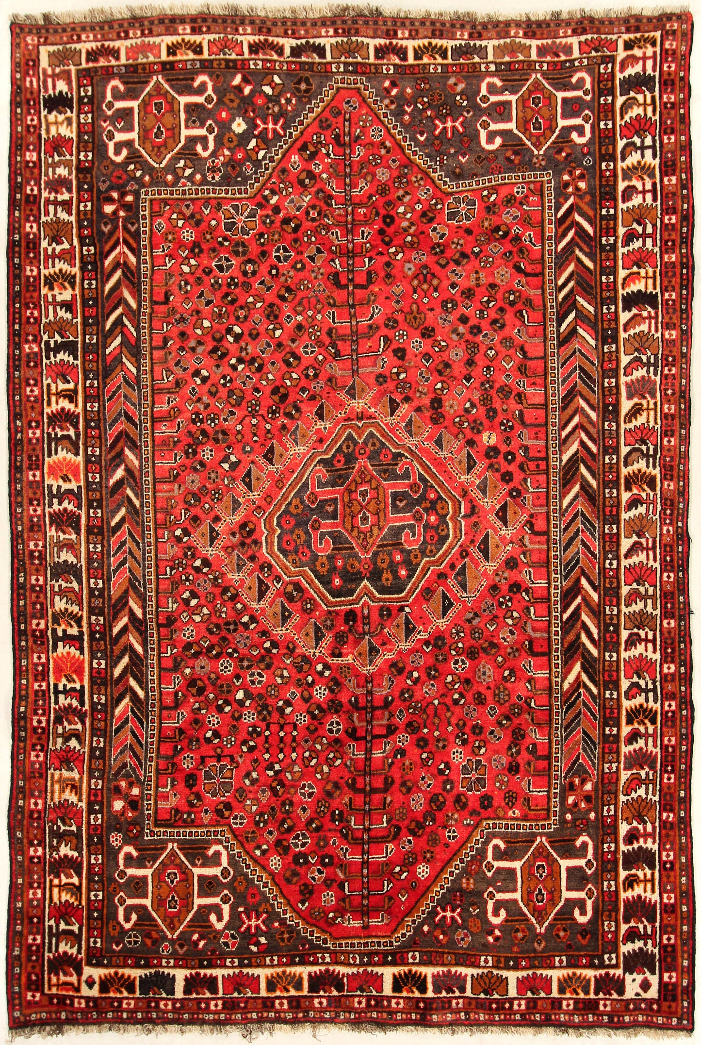Gashgai