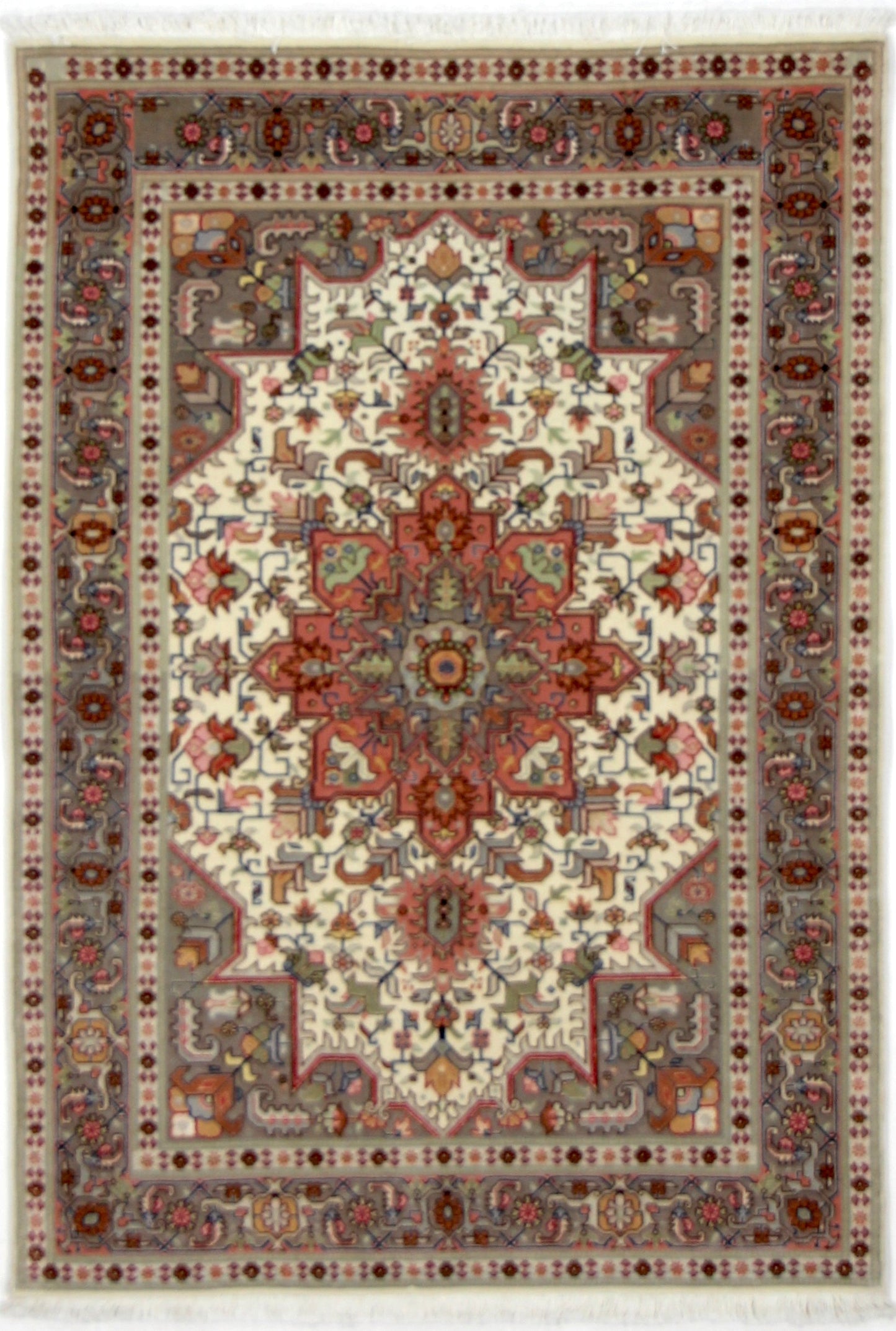Täbriz 50 Raj