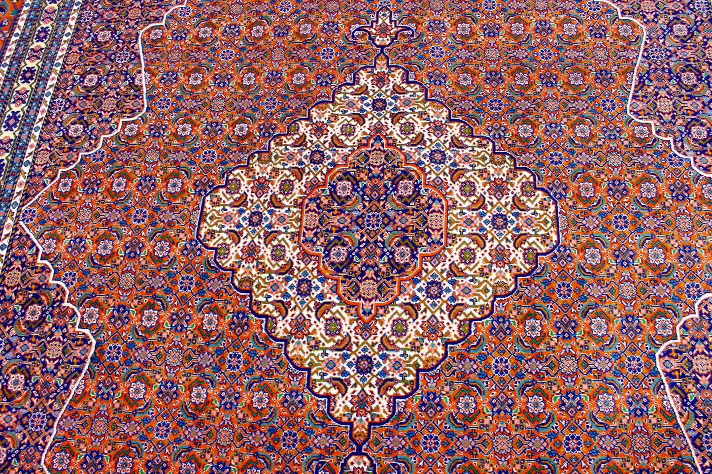 Sharab Masha
