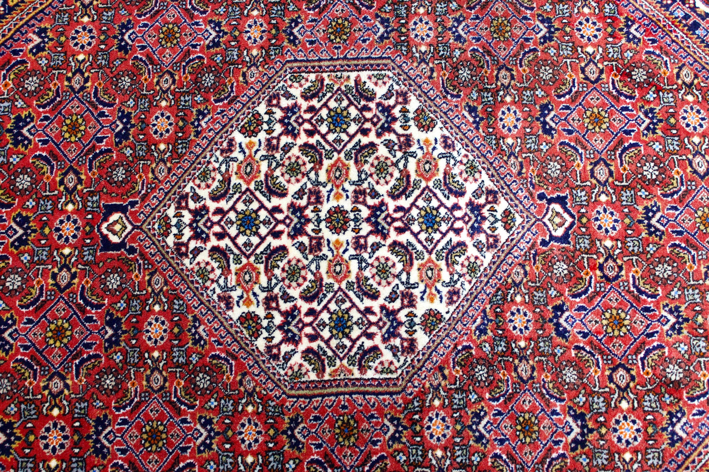 Bidjar
