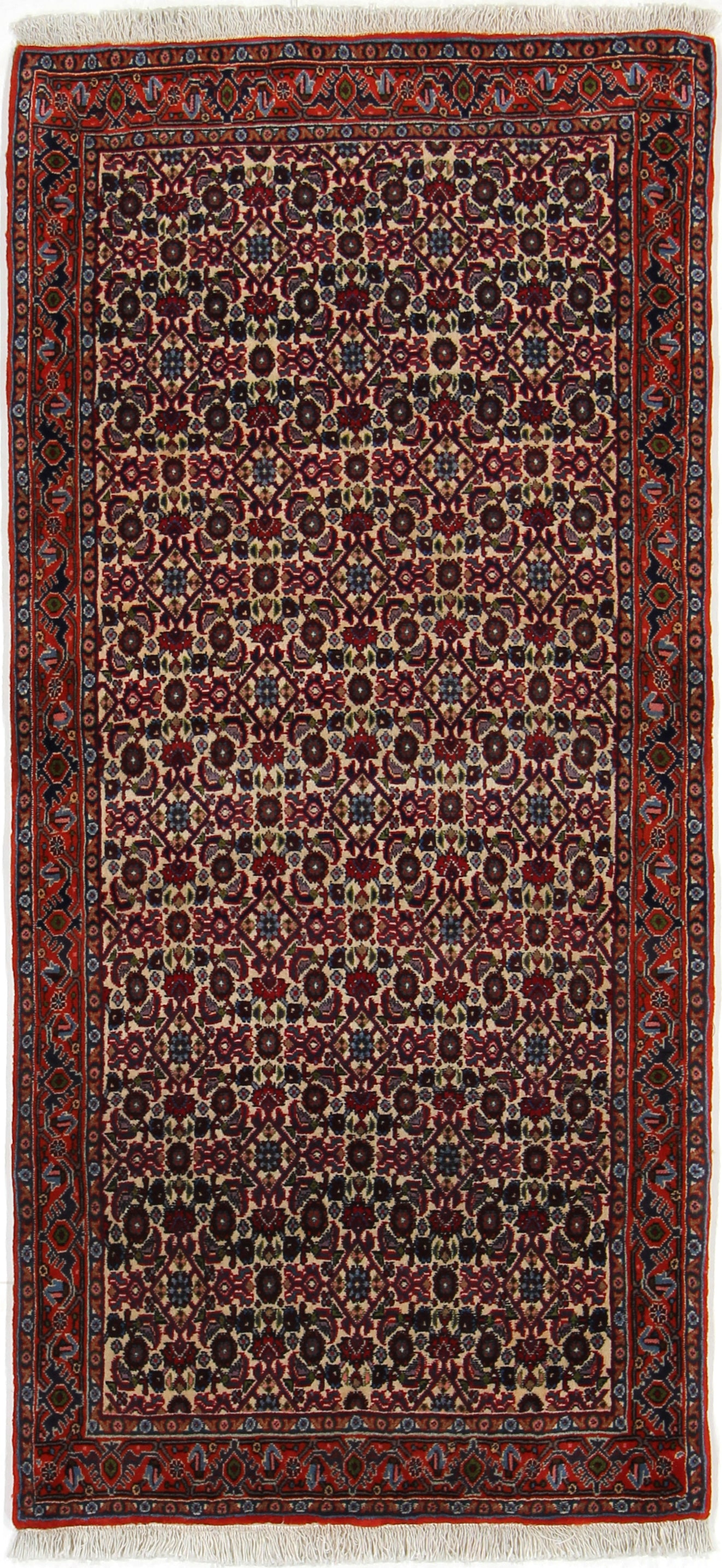Bidjar Tekab