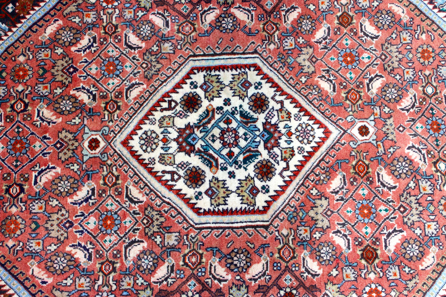 Bidjar