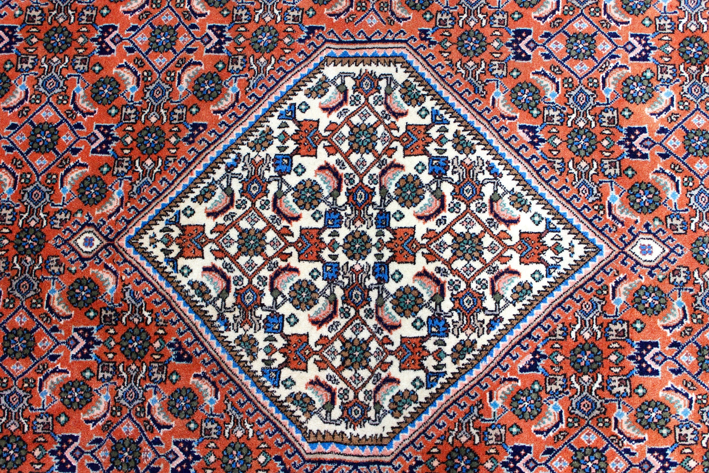 Bidjar