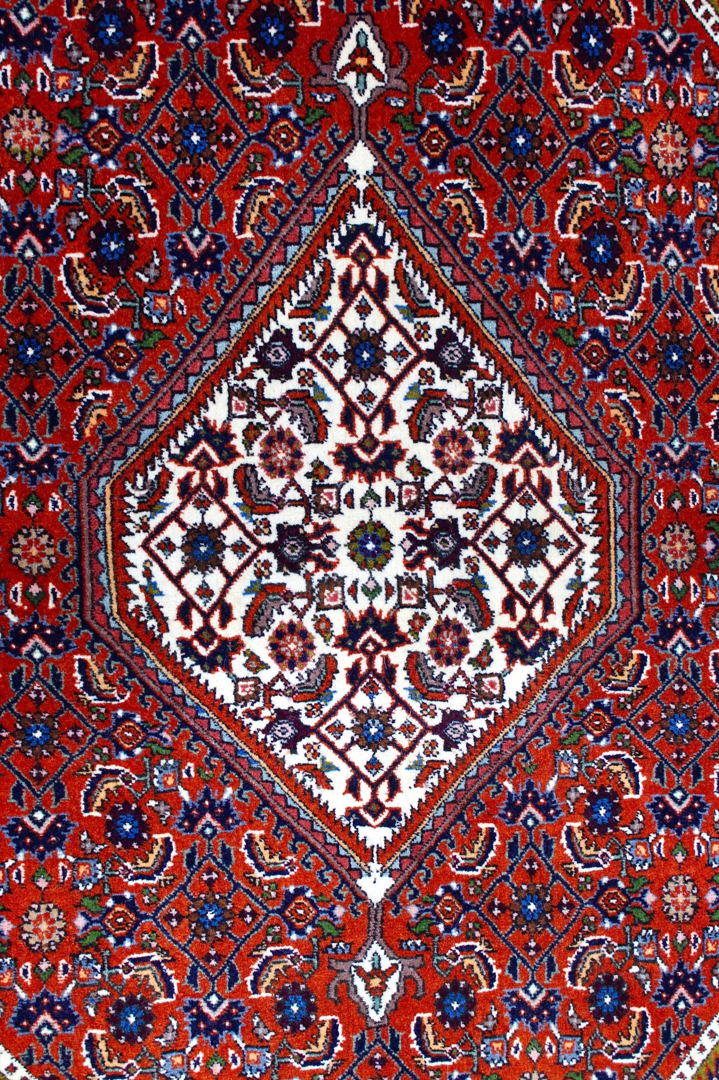 Bidjar