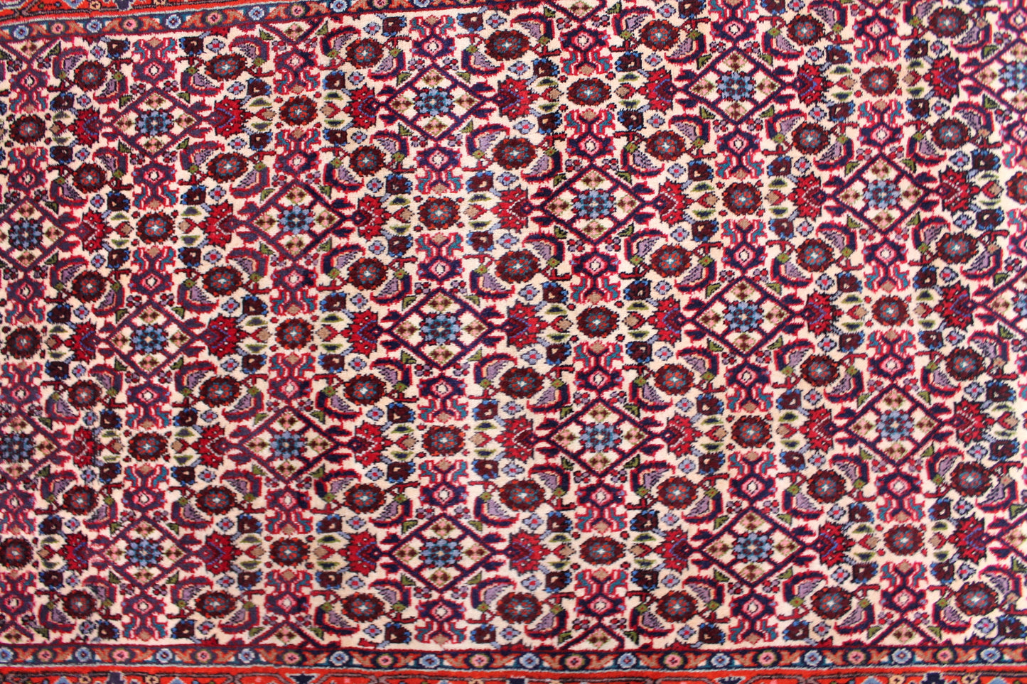 Bidjar Tekab