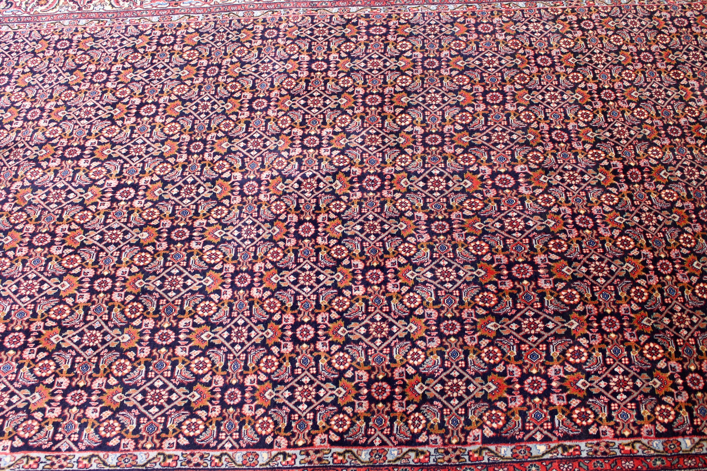 Bidjar Tekab