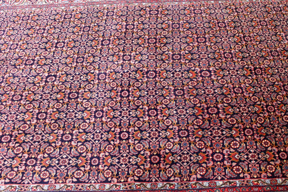 Bidjar Tekab