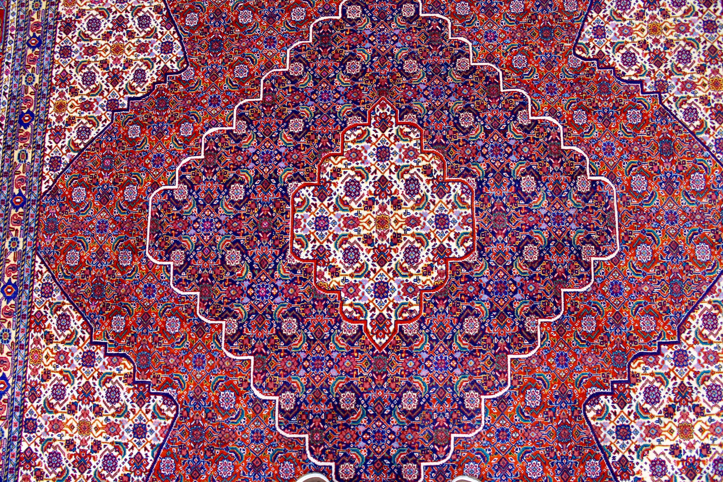 Sharab Masha
