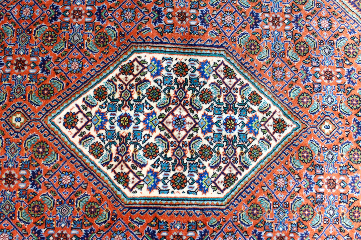 Bidjar