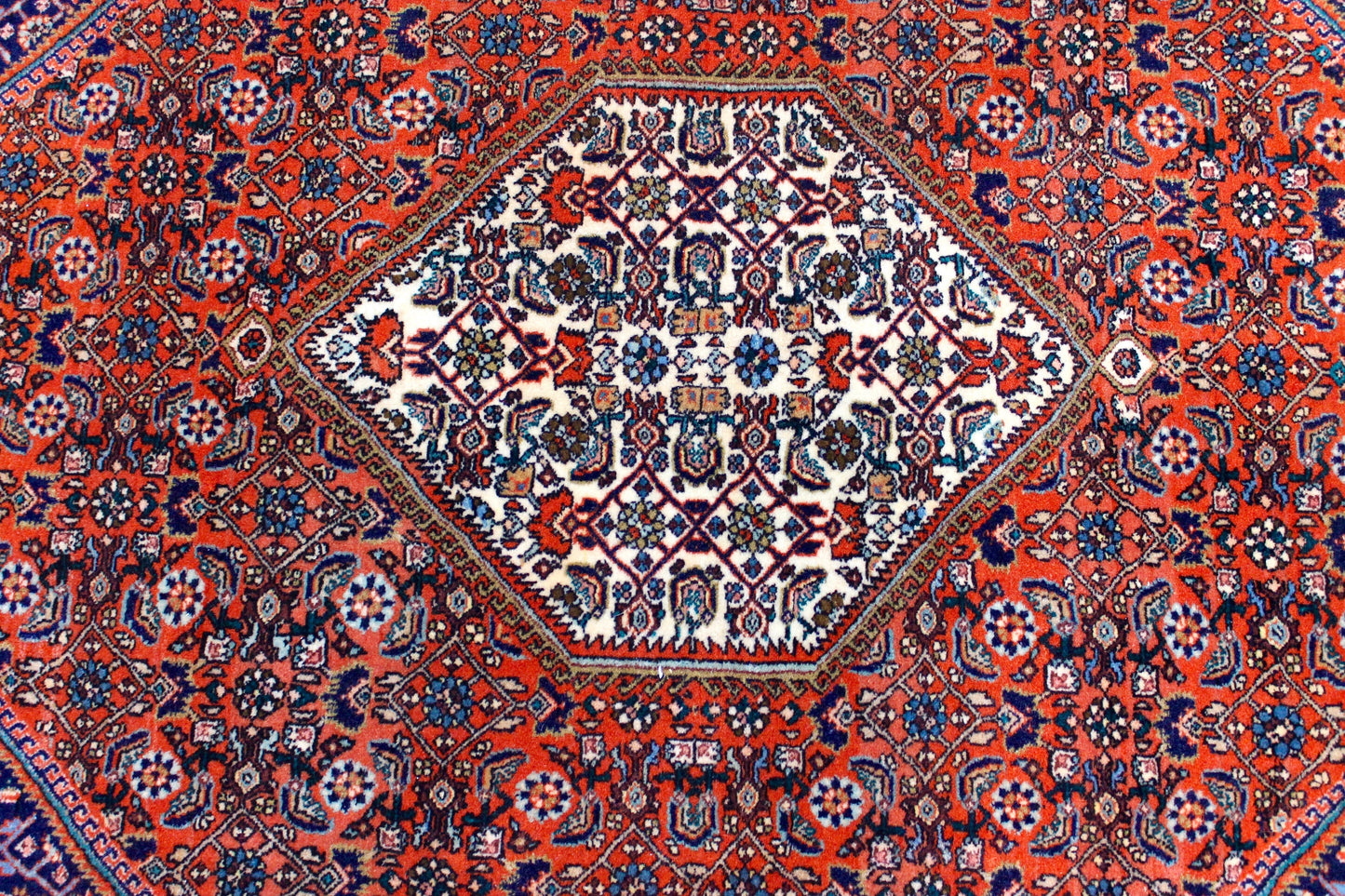 Bidjar