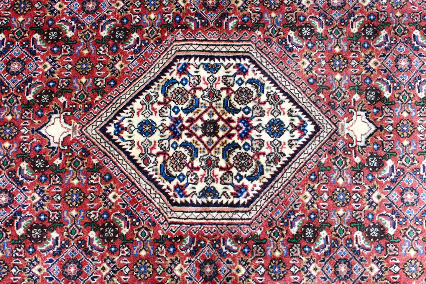 Bidjar