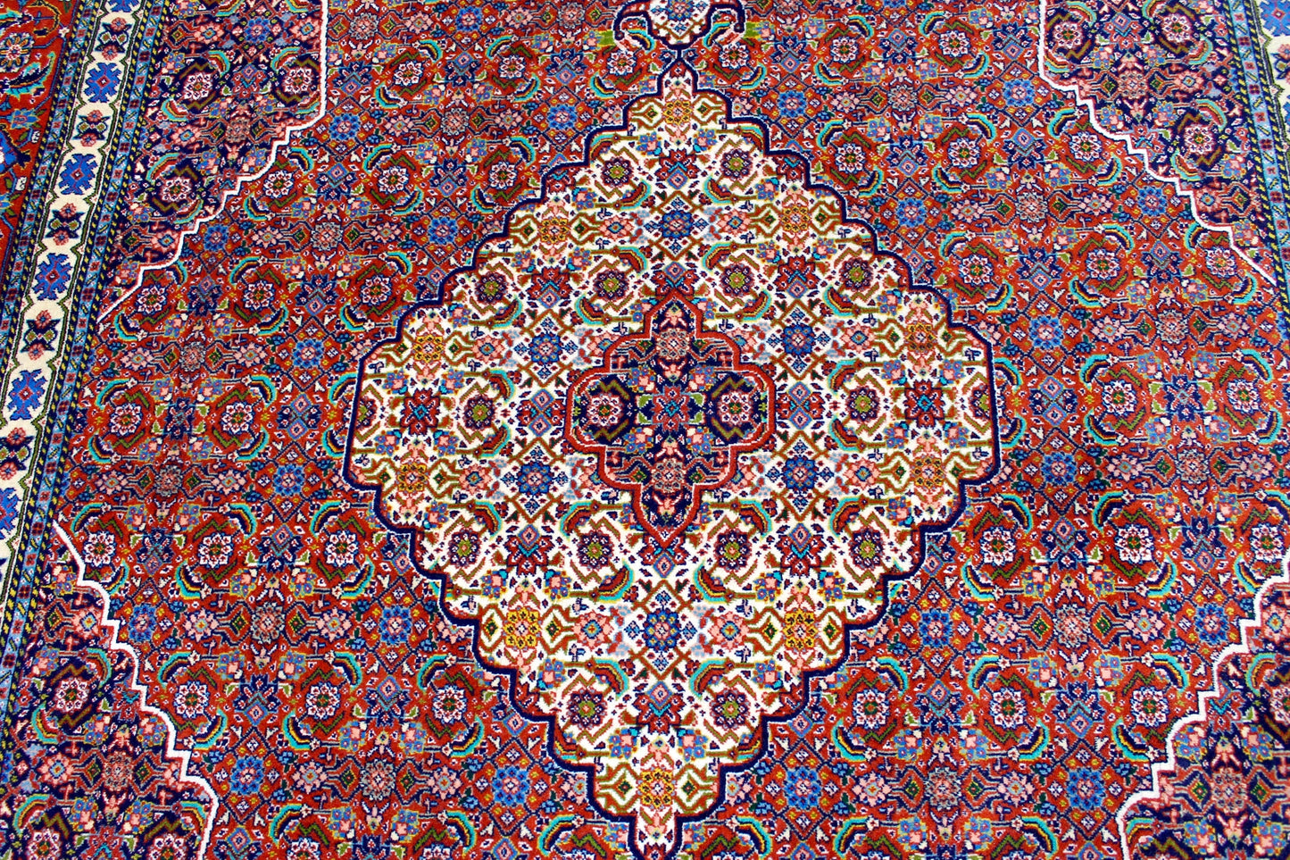 Sharab Masha