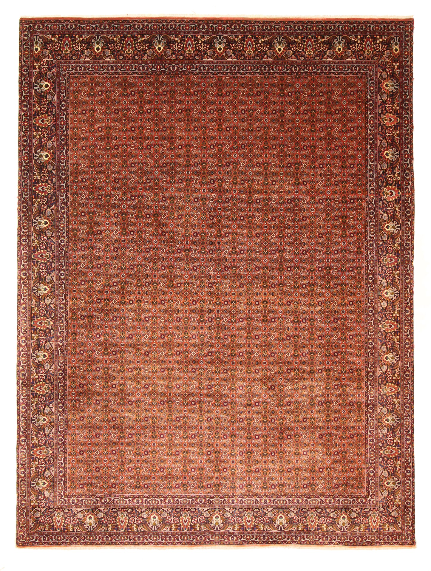 Bidjar Tekab