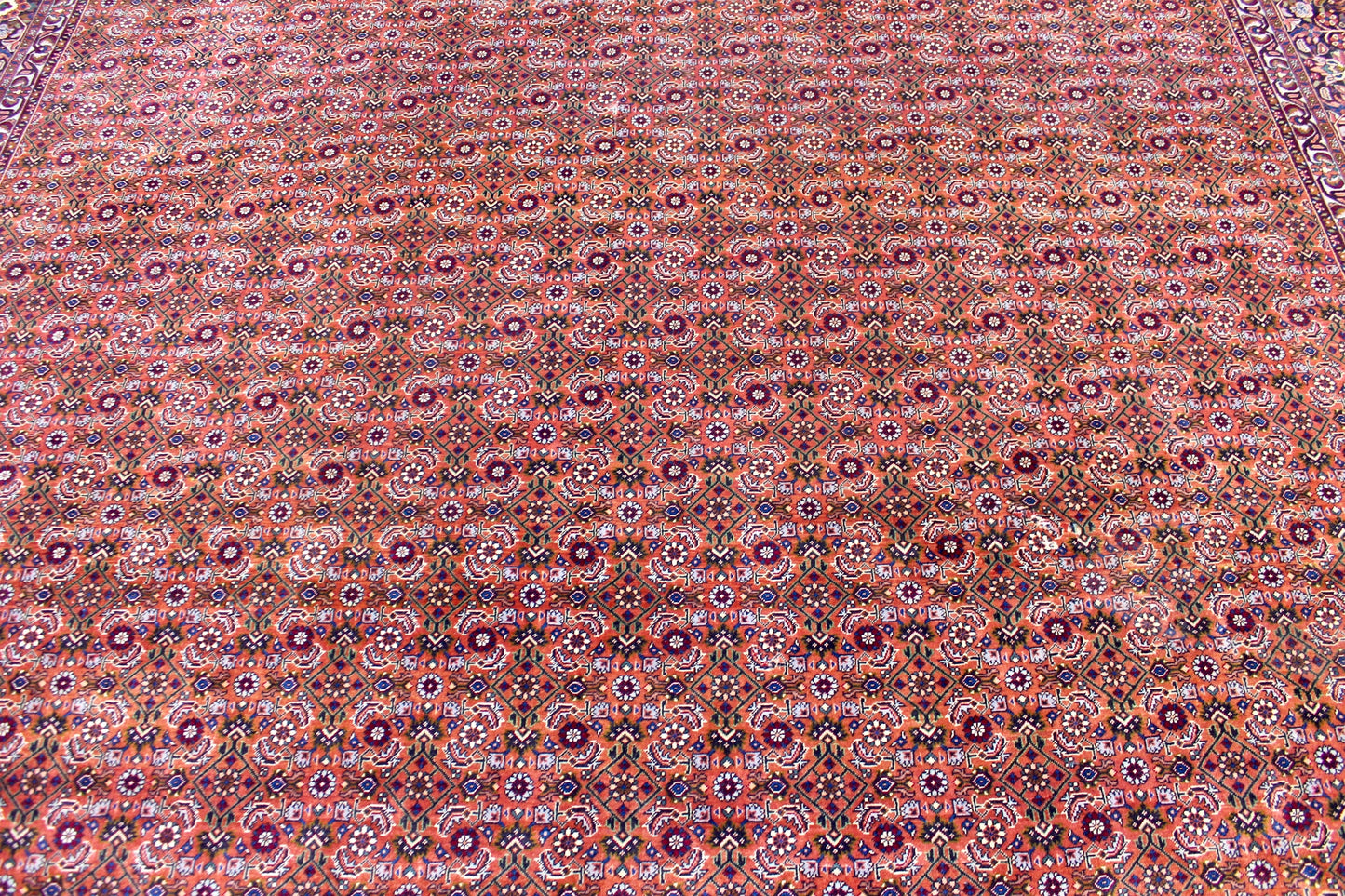 Bidjar Tekab