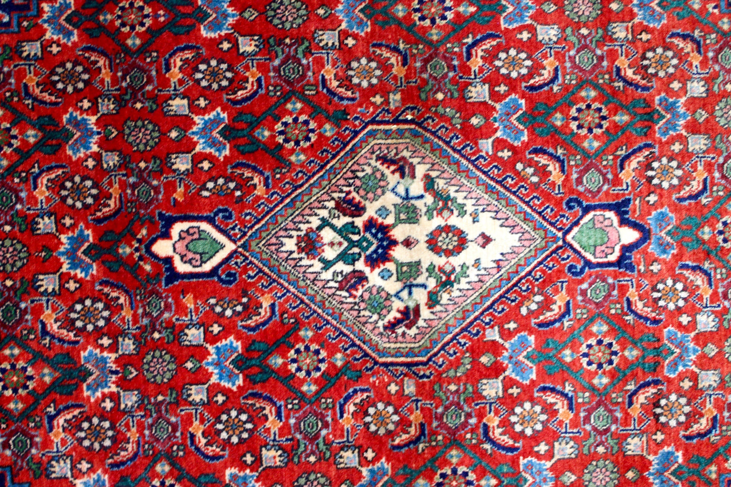 Bidjar