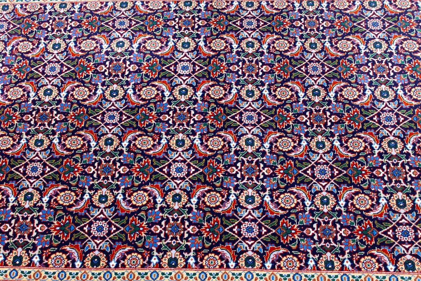 Täbriz 50 Raj