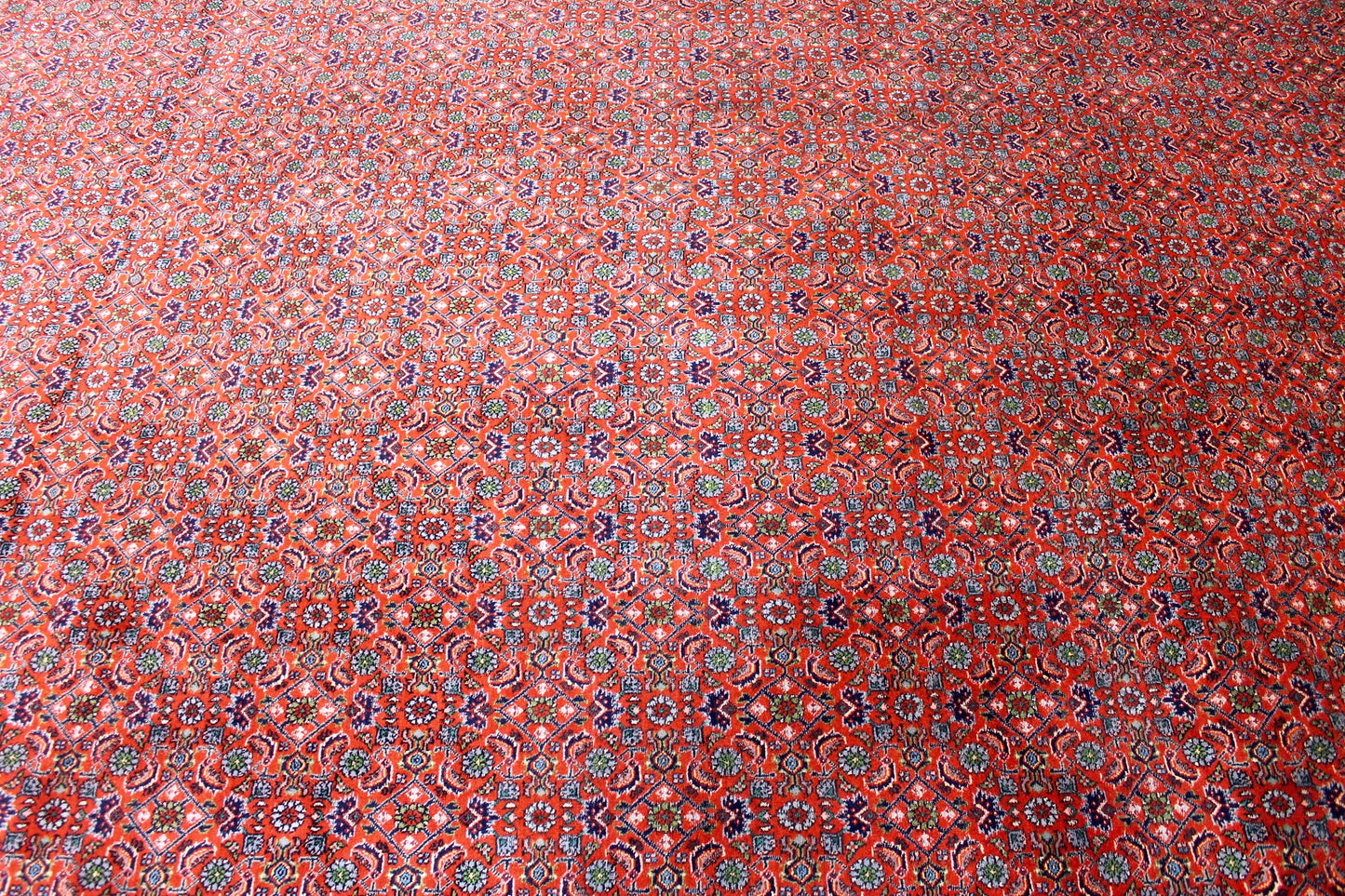 Bidjar Tekab