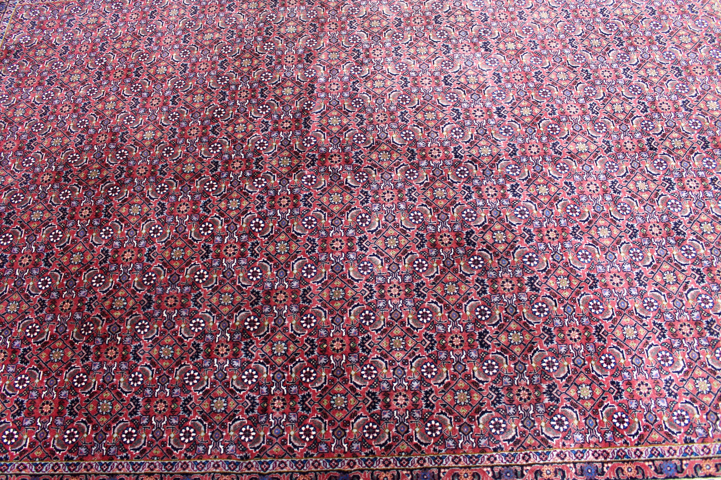 Bidjar Tekab