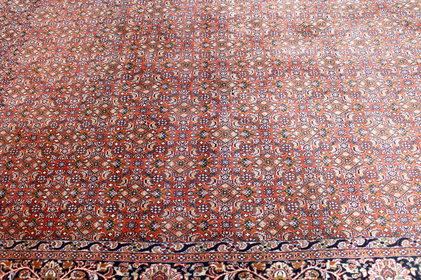 Bidjar Tekab