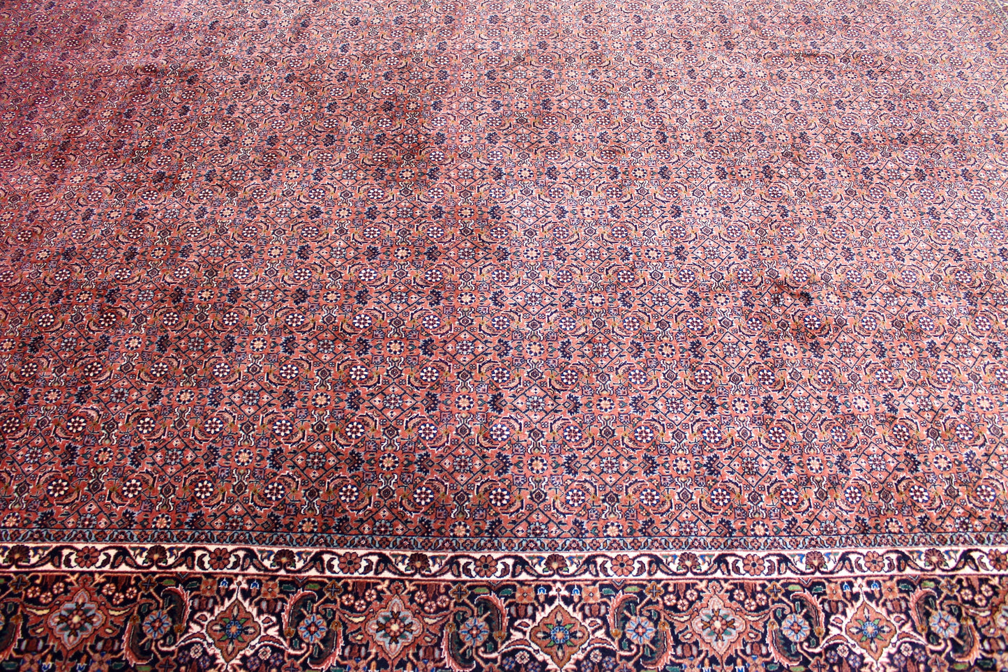 Bidjar Tekab