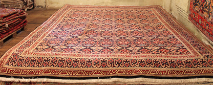Bidjar Sanjan Antik