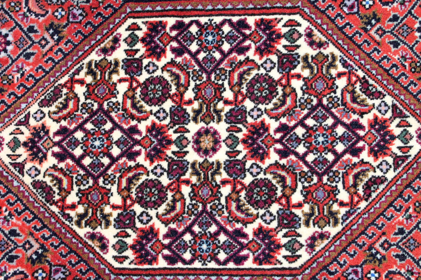 Bidjar