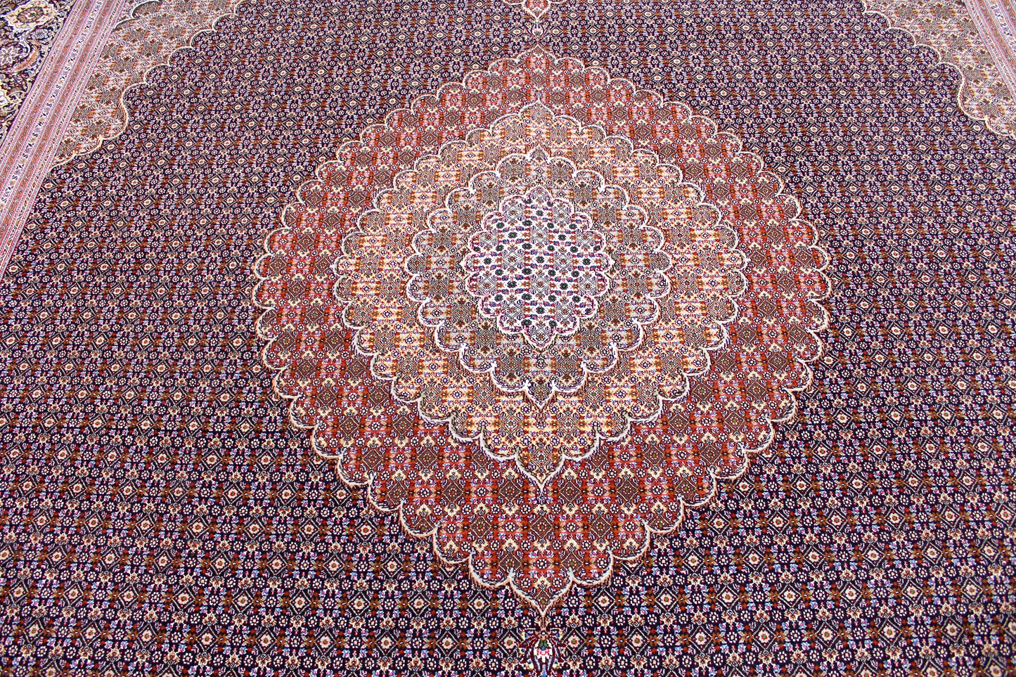 Tabriz 50R Mahi