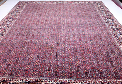 Bidjar Tekab
