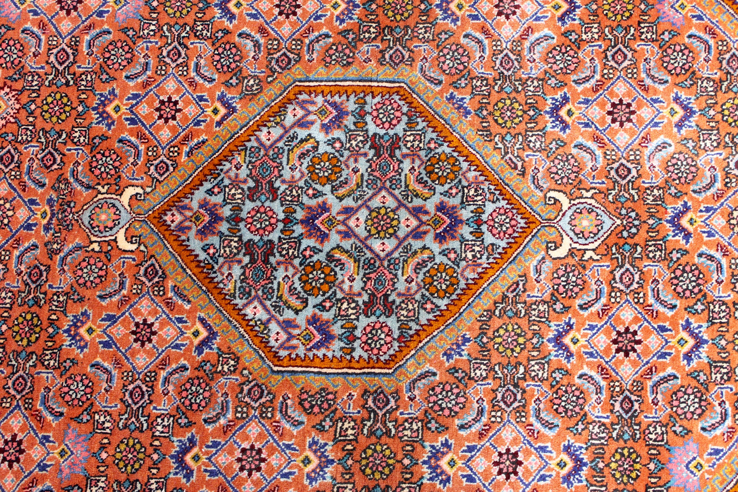 Bidjar