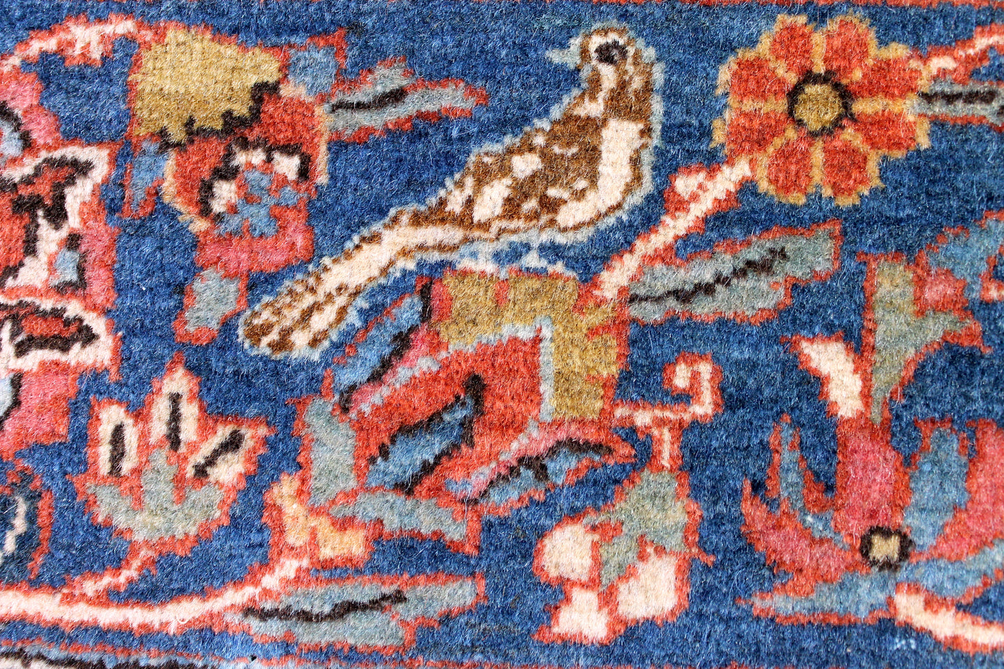 Kashan Antik