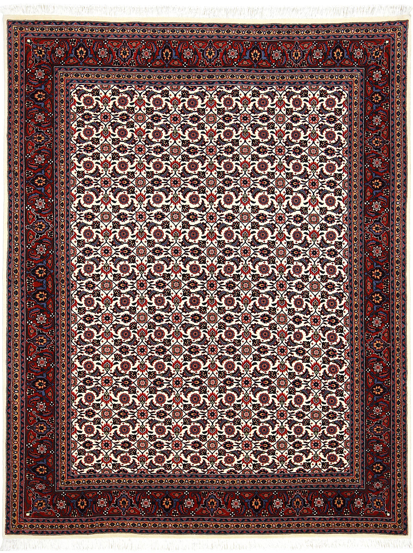 Täbriz 50 Raj