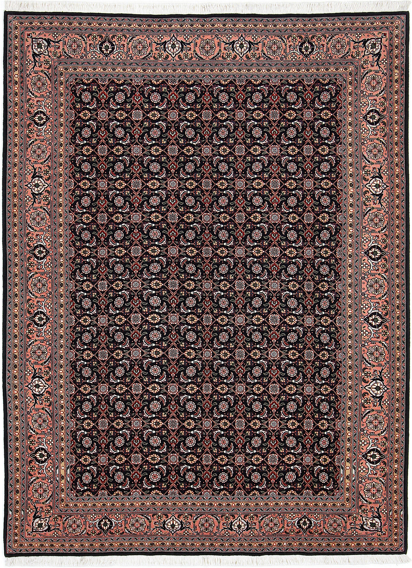 Täbriz 50 Raj