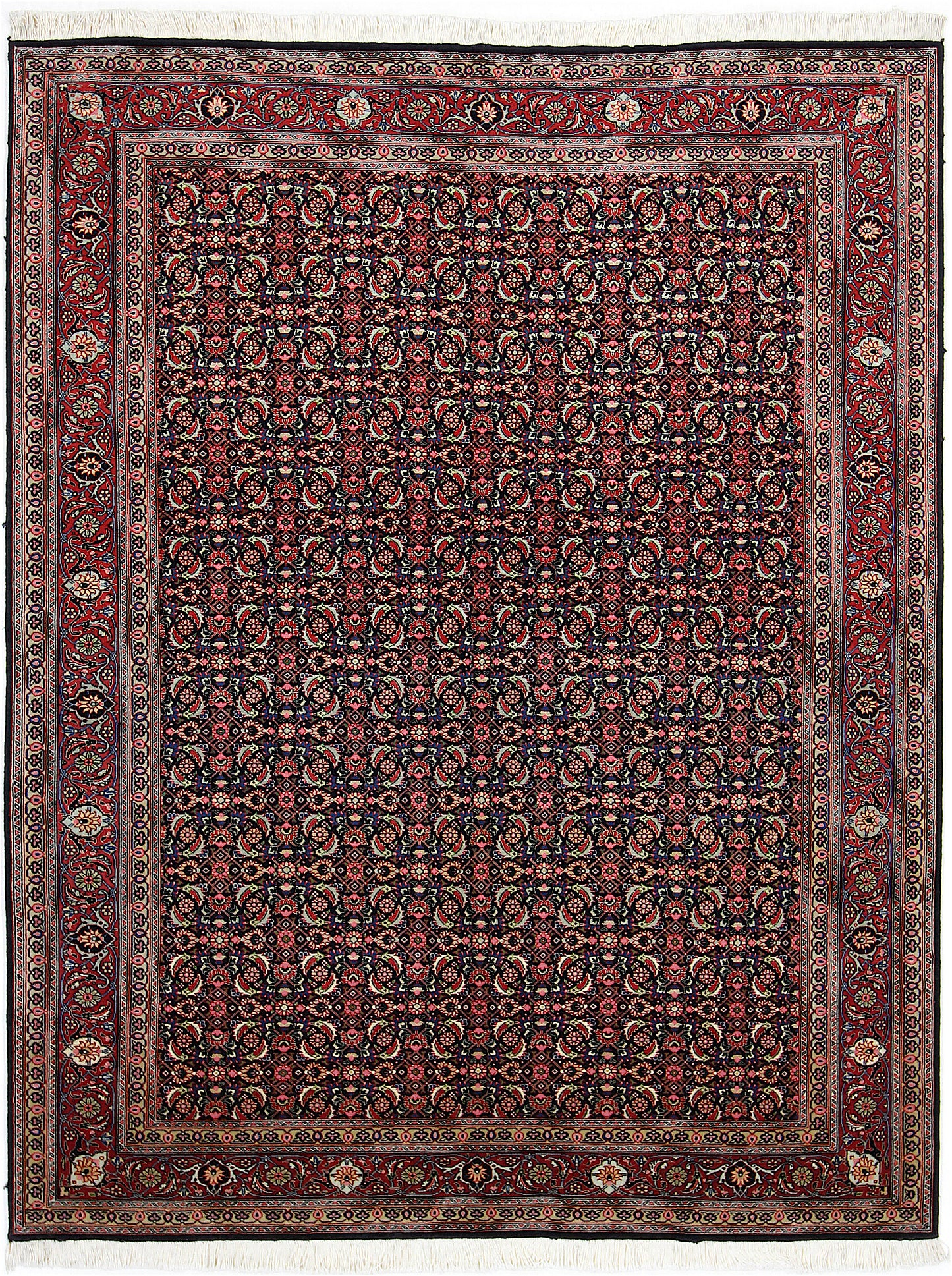 Täbriz Mahi 50 Raj