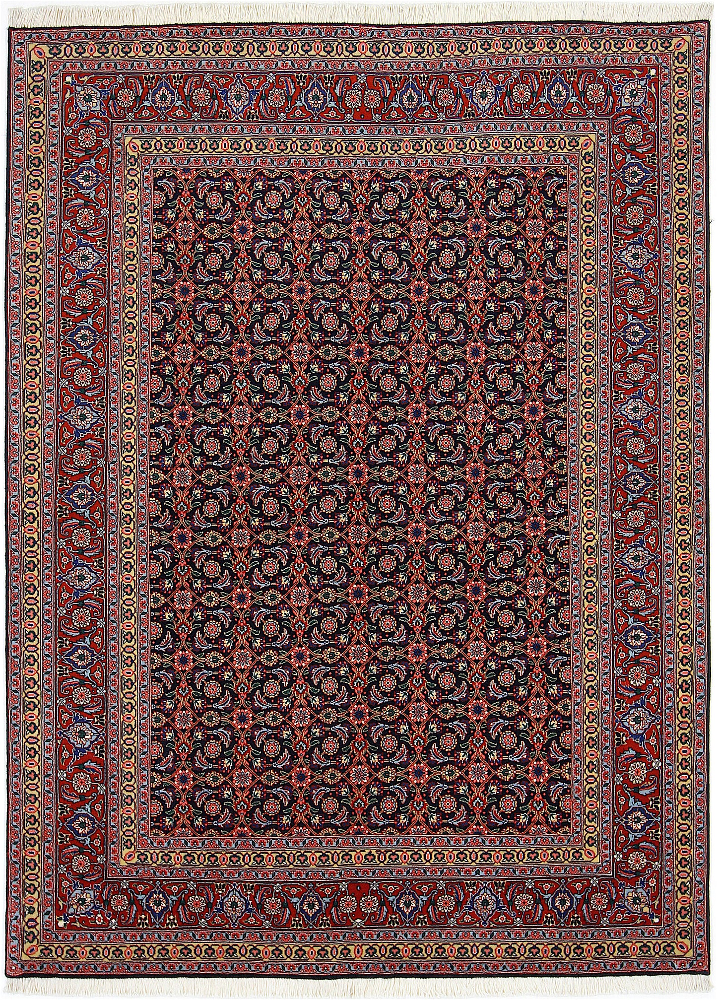 Täbriz Mahi 50 Raj