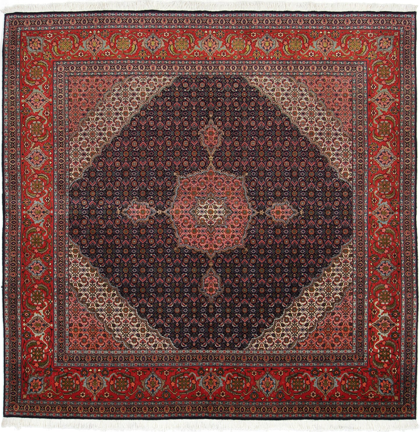 Täbriz 50 Raj