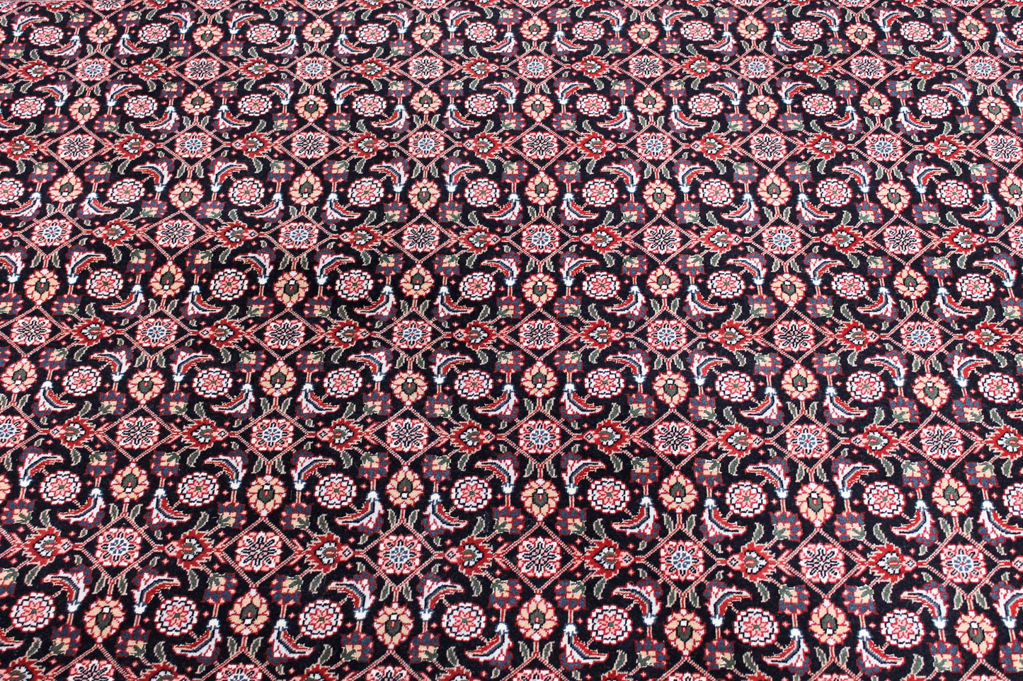 Täbriz 50 Raj