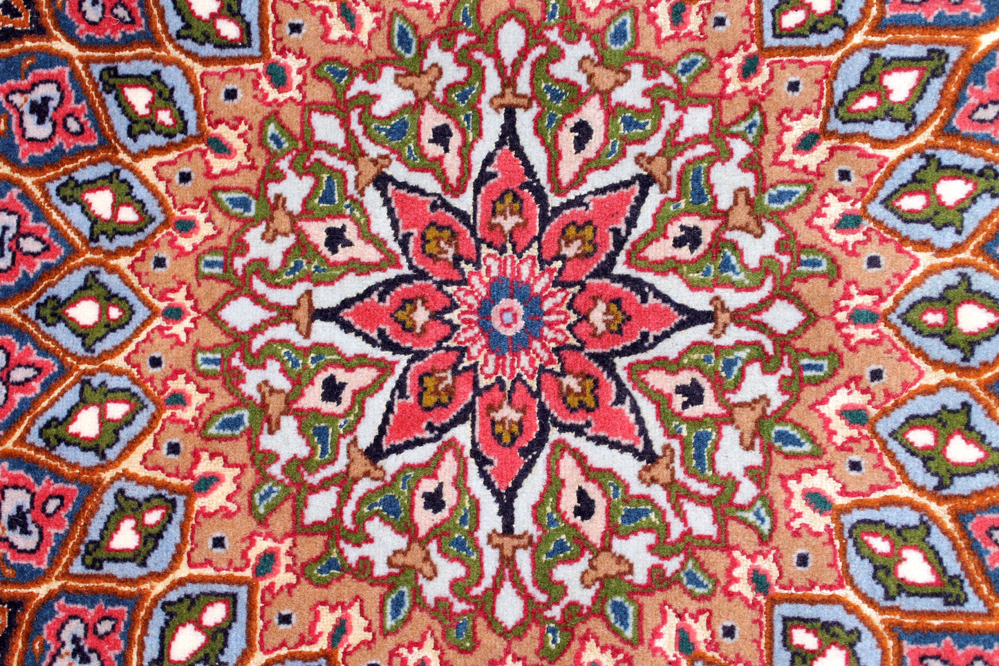 Täbriz 50 Raj Gonbad