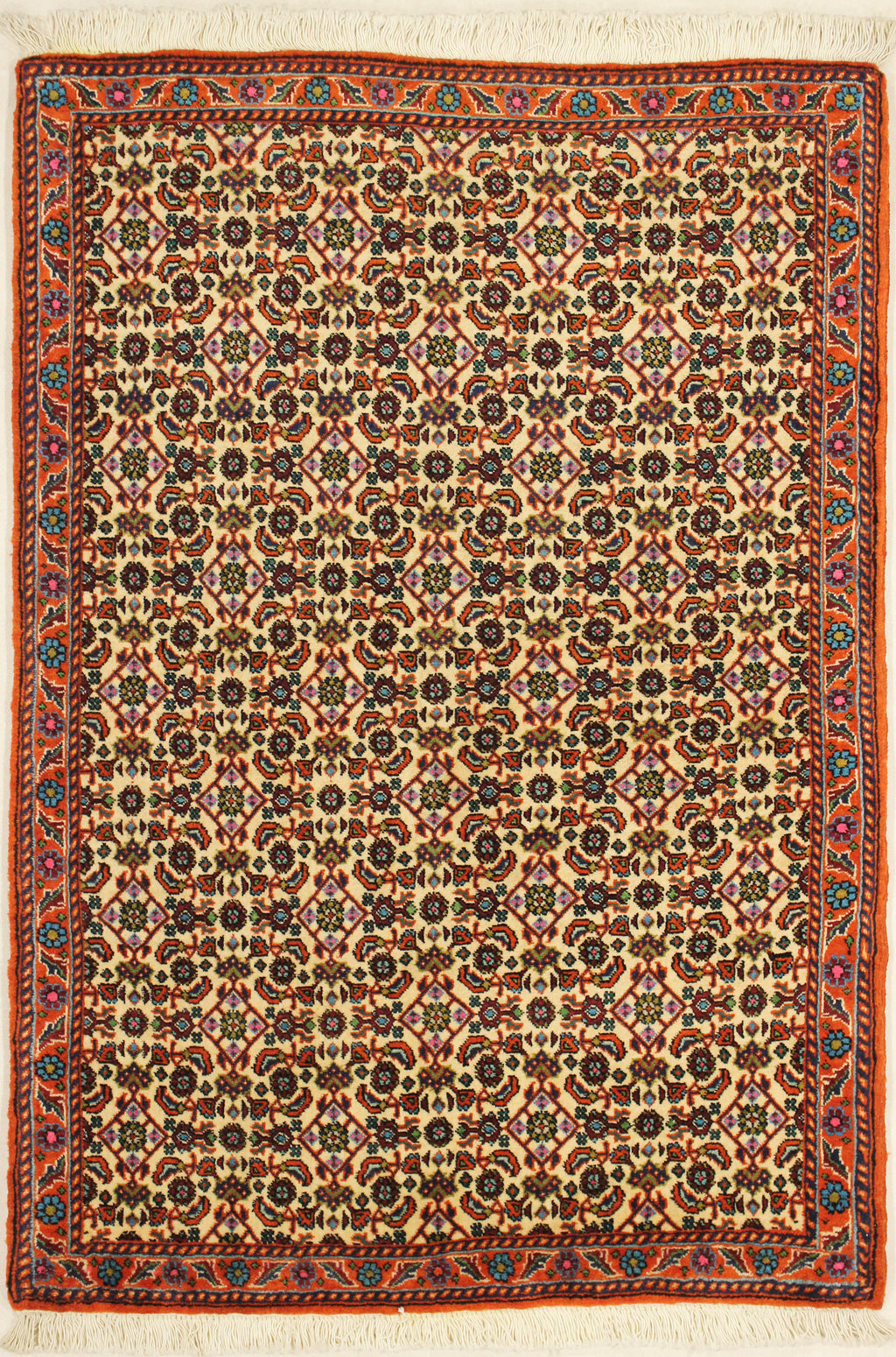 Perserteppich Bidjar Herati Muster - Teppiche Rahvar