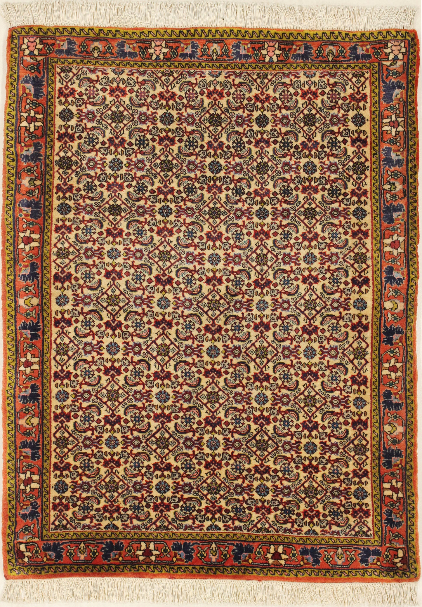 Perserteppich Bidjar