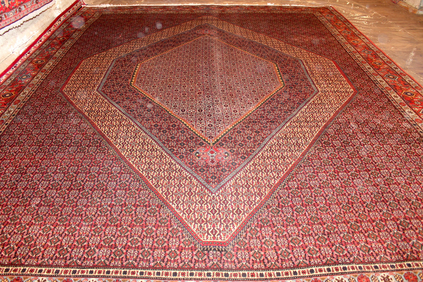 Senneh