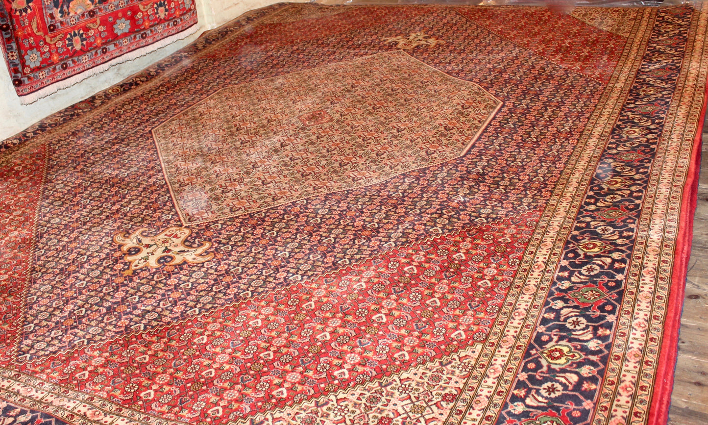 Tabriz Mahi