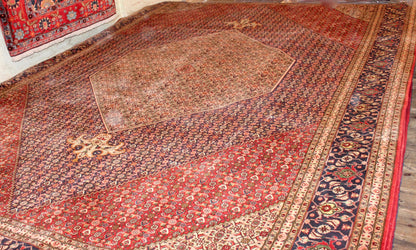 Tabriz Mahi