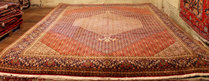 Tabriz Mahi