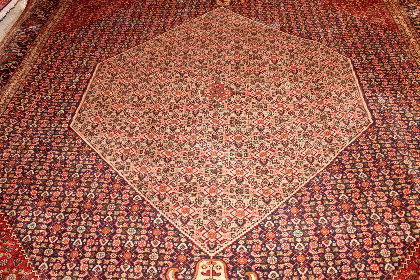 Tabriz Mahi