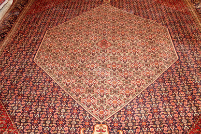 Tabriz Mahi